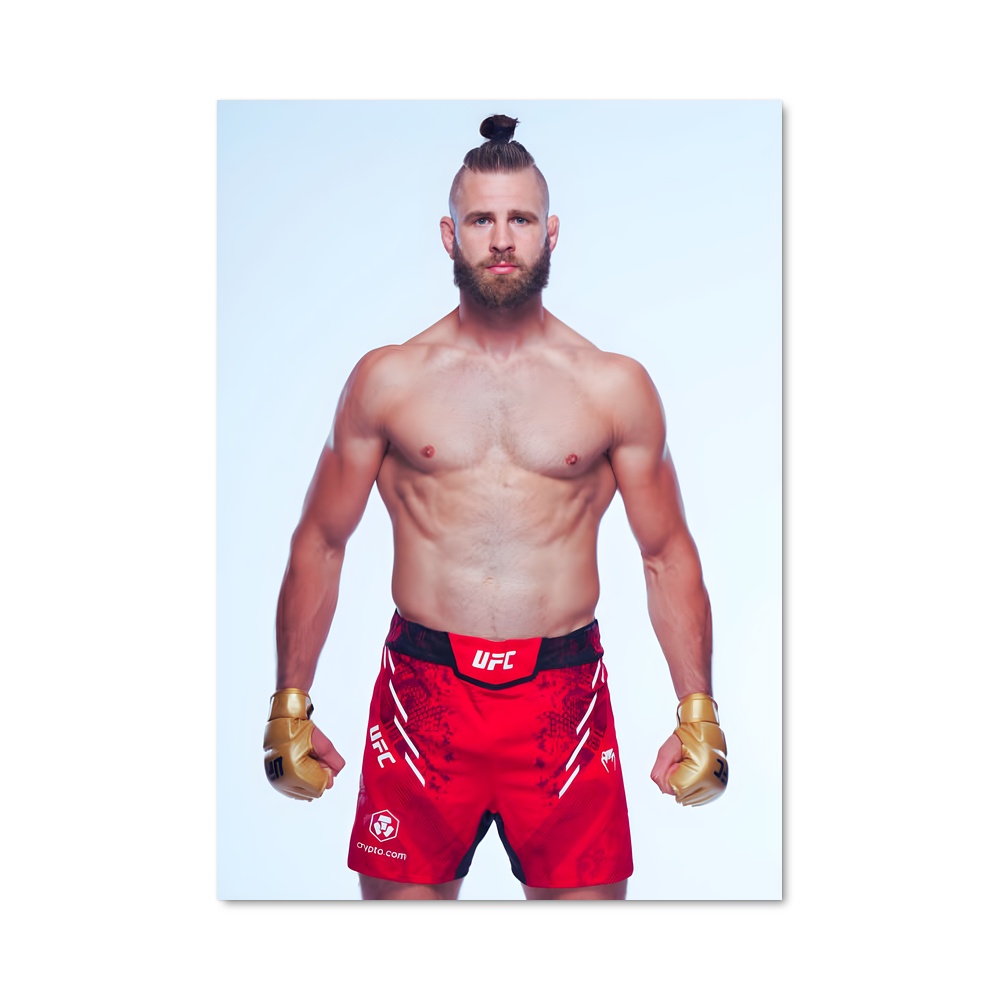Poster Fight Night Prochazka